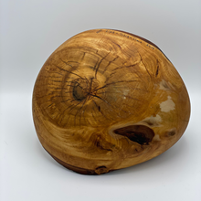 Lade das Bild in den Galerie-Viewer, Wooden Bird Sculpture
